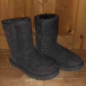 Short classic Uggs
